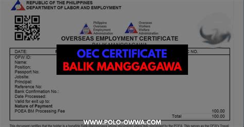 balik manggagawa new website.